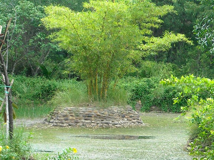 Du lich Thanh Tan ! 055.jpg